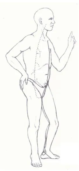 Figure 10 – Renal orb, the emotional expression is referred to as timor (Greten, 2010) Chinese  Medicine understands this state as a consequence of regulation of vegetative functions