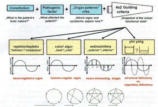 Figure 4 – The four components of functional diagnosis.  