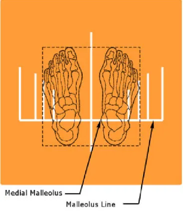 Figure 7 – Position of the feet on the platform (Bertec, 2012) 
