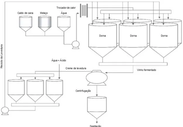 Figura 2. Esquema representativo do processo fermentativo com reciclo de células.  