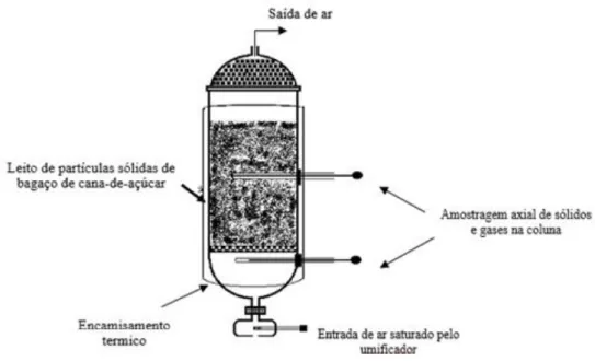 Figura 4. Esquema do biorreator de coluna de leito fixo para os ensaios de escalonamento do  CES (adaptado de Durand, 2003)
