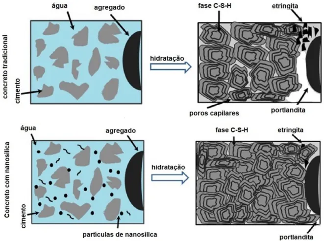 Figura 2.7 - Reações de hidratação do cimento na presença de nanosílica (SINGH et  al., 2013)