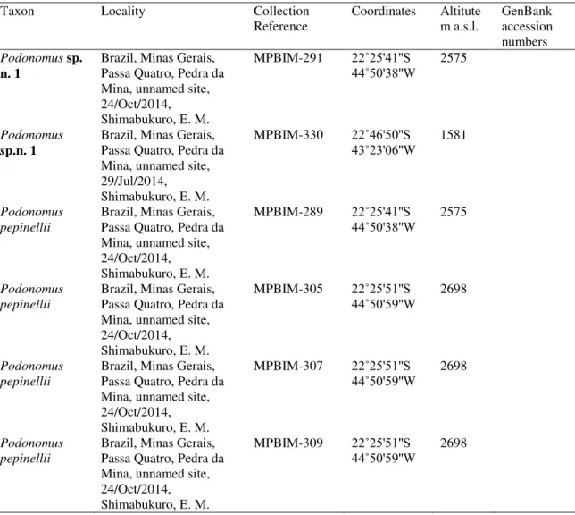 TABLE  1.  List  of  specimens  of  Podonomus  with  mtDNA  COI  sequences  (DNA  Barcoding) from Passa-Quatro, Minas Gerais, in Southeast Brazil