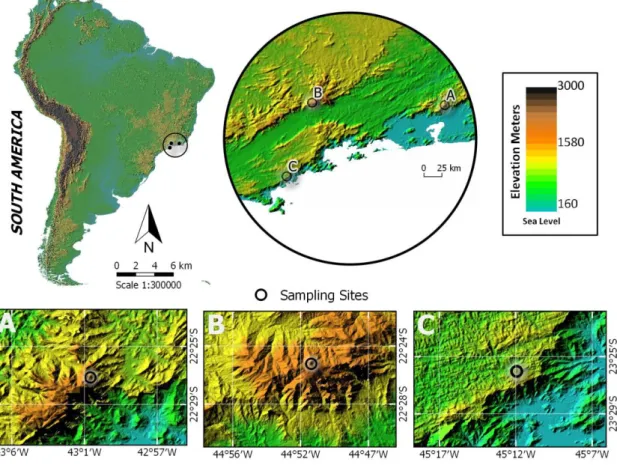 Figure  1  Localization  of  the  study  area  in  Southeast  Atlantic  Forest  (Brazil)