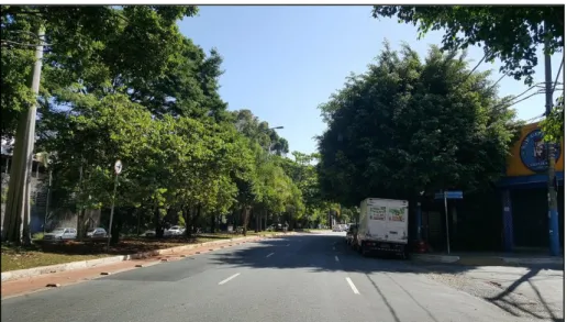 Foto 6 - Trecho da Av. Engenheiro Caetano Álvares onde o córrego Mandaqui corre tamponado  sob o canteiro central.