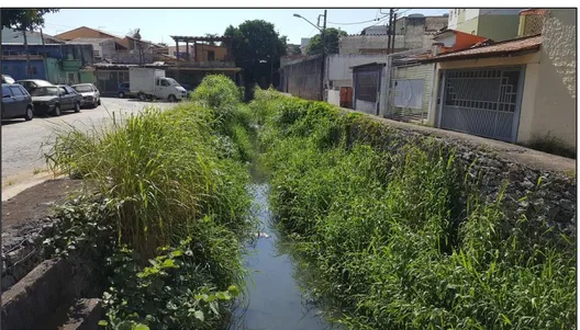 Foto 7 - Um dos afluentes do córrego Mandaqui, sem denominação, localizado na praça Rufus King  Lane, que flui a céu aberto, porém com o seu leito canalizado