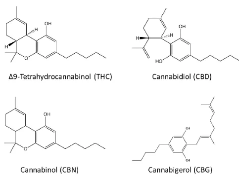 Figure  3  –  The  chemical  structures  of  the  main  phytocannabinoids. The psychoactive component, Δ 9 - -THC, and other natural substances found in Cannabis plant, such as CBD, CBN and CBG 