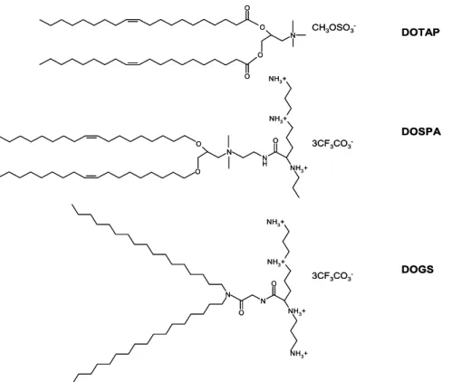 Figure 3: Example of other lipids used in gene delivery. 