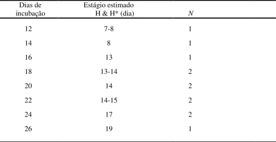 Tabela 3: Relação do período de incubação em que os ovos foram abertos, a correlação aproximada com a descrição  feita por HAMBURGER &amp; HAMILTON (1951)* de Gallus gallus  e a quantidade de embriões