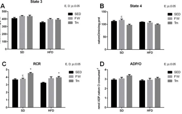 Figure  6.  Effect  of  diet  and  exercise  treatments  on  heart  mitochondrial  oxygen  consumption  (A)  state  3  of  mitochondrial  respiration,  (B)  state  4  of  mitochondrial  respiration, (C) RCR, and (D) ADP/O