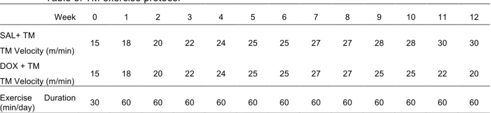 Table 3. TM exercise protocol 