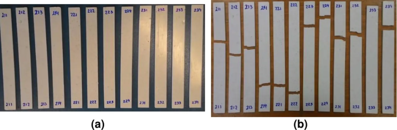Figura 16: Corpos de prova para tração do HIPS reciclado lote 2 (a) antes e (b)  depois do ensaio