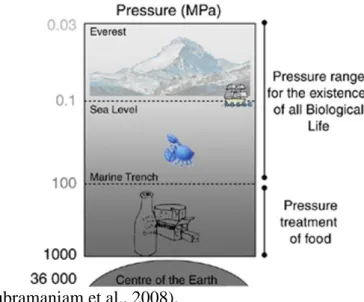 Figure 1. Representation of the pressures used in food processing. Adapted from (Considine et al., 2008).