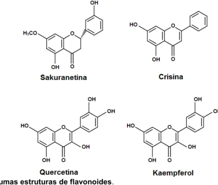 Figura 6 - Algumas estruturas de flavonoides. 