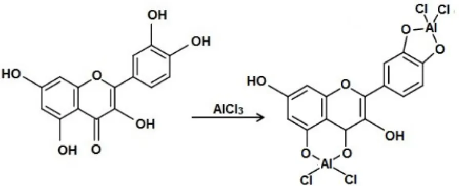 Figura  9  -  Formação  do  complexo  do  flavonoide  quercetina  com  cloreto  de  alumínio  (AlCl3),  formando o complexo estável flavonoide-Al3+