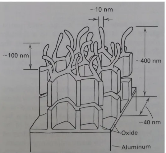 Figure 3.9: Isometric drawing of the aluminium surface after the PAA [37].