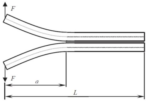 Figure 3.16: Typical configuration of DCB joint for fatigue constant amplitude loading [39].