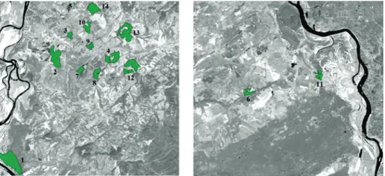 Fig. 2.  Scheme of location of cedar forests: 1 – Forest Park near the village Yar, 2 – LuchanovoIpatovskiy, 3 – Magadaevskiy, 4 – Nizhne Sechenovskiy, 5 – Trubachevskiy, 6 – Voronovskiy, 7 – Aksenovskiy, 8 – Belousovskiy, 9 – Bogashovskiy, 10 – Loskutovsk