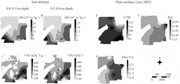 Figure 3. Spatial distribution maps for soil attributes (A and B: MS, magnetic susceptibility; and C and D, clay) and  sugarcane ( Saccharum  spp.) plant attributes (E, CTH, cane tons per hectare; F, Pol; and G, fibre).