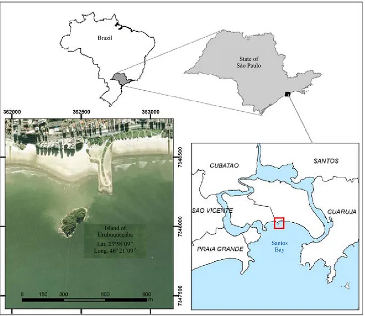 Figure 1. Location of Urubuqueçaba Island, Santos Bay, São Paulo state, Brazil. Perna perna mussels were collected from  marine water, rocky shores, and midlittoral region.