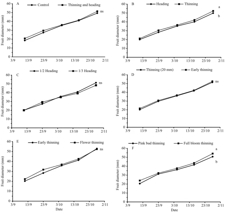 Figure 3. Fruit growth curve of 'BRS Kampai' peach (Prunus persica) tree subjected to heading of shoots and hand thinning  of flowers and fruits in 2015, in the municipality of Eldorado do Sul, in the state of Rio Grande do Sul, Brazil: A, control  vs