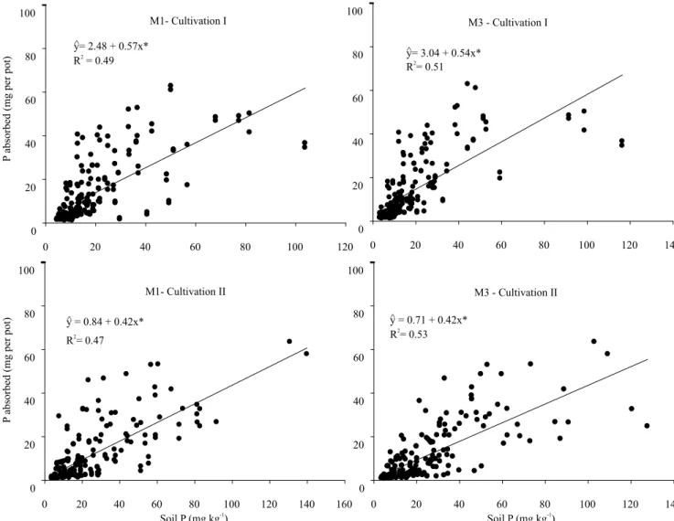 Figure 2. Quantities of P absorbed by maize plants and the contents extracted from the crops by the Mehlich-1 (M1) and  Mehlich-3 (M3) methods without soil buffering capacity classification.