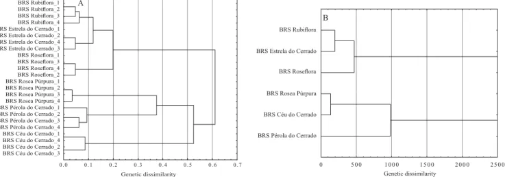 Figure 1. Cluster analysis of six ornamental passion fruit ( Passiflora  spp.) cultivars, based on a genetic distance matrix  calculated through 33 categorical descriptors (A), and eight quantitative descriptors (B), in four replicates