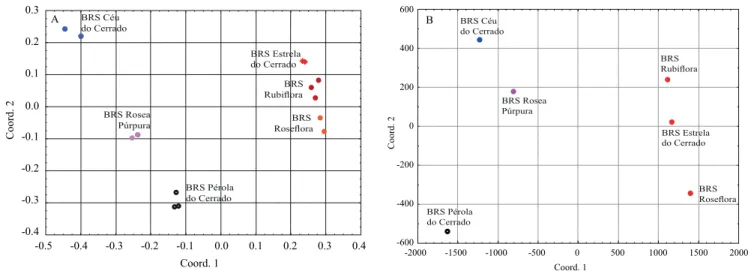 Figure 2. Graphic dispersion of six ornamental passion fruit (Passiflora spp.) cultivars, based on a genetic distance matrix  calculated through 33 categorical descriptors (A), and eight quantitative descriptors (B), in four replicates.