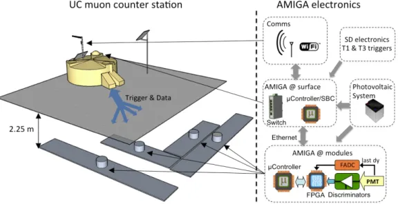 Figure 2. Schematics of a Muon Counter (MC) and Surface Detector (SD) of the AMIGA Unitary Cell together with the AMIGA electronics.