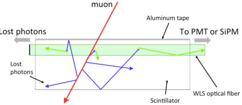 Figure 3. Schematic of a scintillator bar excited by a muon. Highlighted are the trajectories of the incident particle (in red), the photons produced within the bar (in blue) and within the fiber (in green).