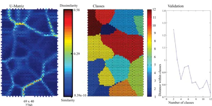 Table 2. Groupings identified by an artificial neural network-self-organizing map (ANN-SOM) according to soil  vulnerability classes and ecological economic zoning (EEZ) for states of the Legal Amazon.