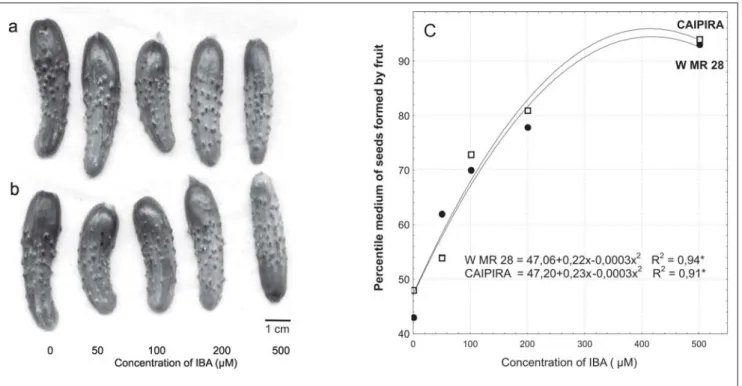 Figure 2. (a) Average number of pollen grains per flower and (b) average percent of pollen potential and viability as affected by the increase in IBA concentration, in two cucumber cultivars ((a) número médio de grãos de pólen por flor e (b) percentual méd