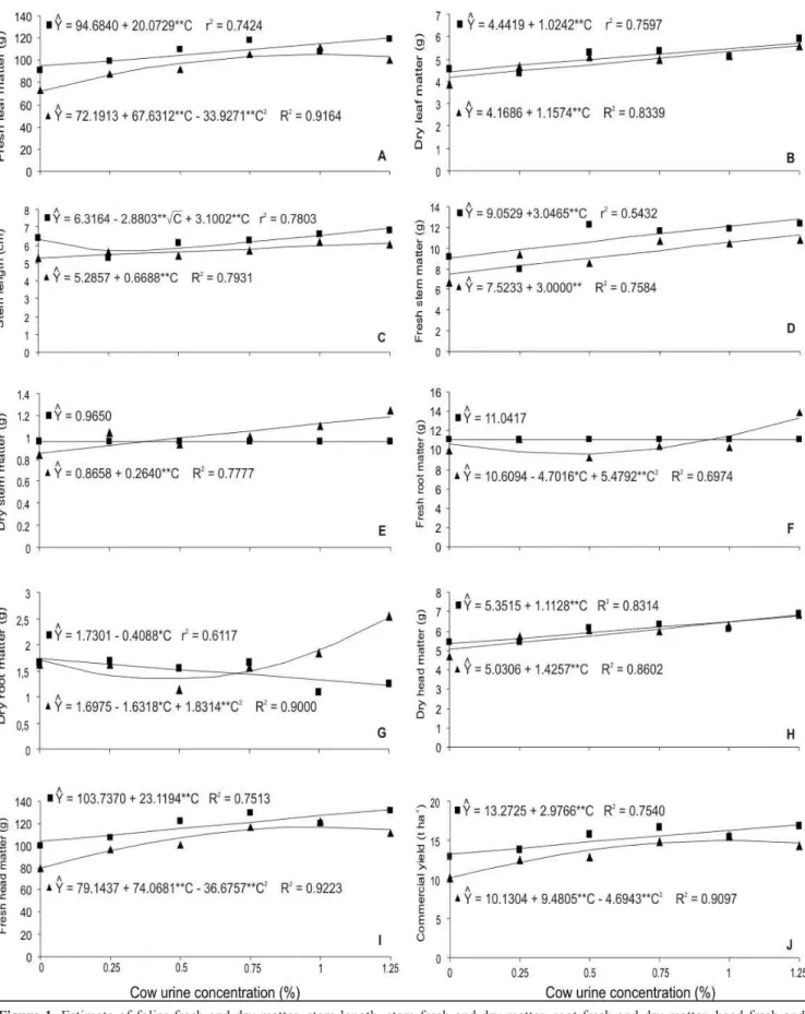 Figure 1. Estimate of foliar fresh and dry matter, stem length, stem fresh and dry matter, root fresh and dry matter, head fresh and  dry matter, and commercial yield of lettuce, in function of application of cow urine concentrations via leaves () and soi