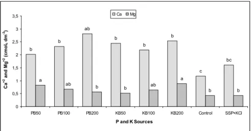 Figure 3.  Effects of P and K biofertilizers on exchangeable Ca +2  and Mg +2 , compared to  soluble  fertilizers  (simple  superphosphate  and  potassium  chloride)  and  without  P  and  K  fertilization on melon grown in a Gray Argissol soil, medium tex