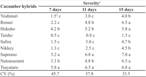 Table 1. Severity of target spot caused by Corynespora cassiicola in cucumber hybrids at  seven, eleven and fifteen days after inoculation (severidade da mancha alvo causada por  Corynespora cassiicola em híbridos de pepino aos sete, 11 e 15 dias após a in