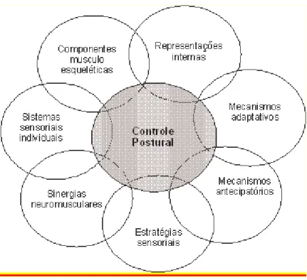 Figura -1 Modelo conceptual que representa os sistemas que contribuem para o controlo postural  (adaptado de Shumway-Cook &amp; Woollacott, 2003) 