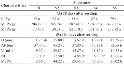 Table 1. Evaluated broccoli characteristics depending on seed origin and substrates (carac- (carac-terísticas avaliadas em plantas de brócolo (Brassica oleracea L