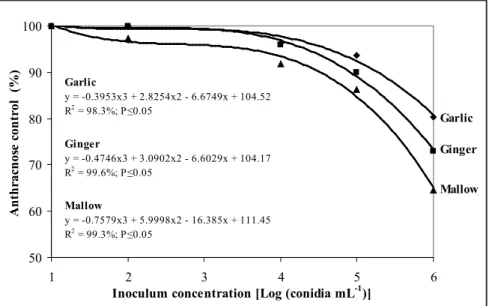 Figure 2.  Influence of  Colletotrichum acutatum inoculum concentration on anthracnose  control in bell pepper fruits by 6% aqueous extracts of garlic, ginger, and mallow