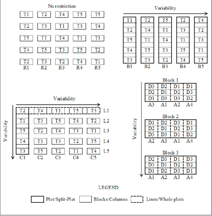 Figure 1. Illustration of the completely randomized (upper left), complete blocks at random (upper right), Latin Square (lower left) and  complete blocks with split plots (lower right)