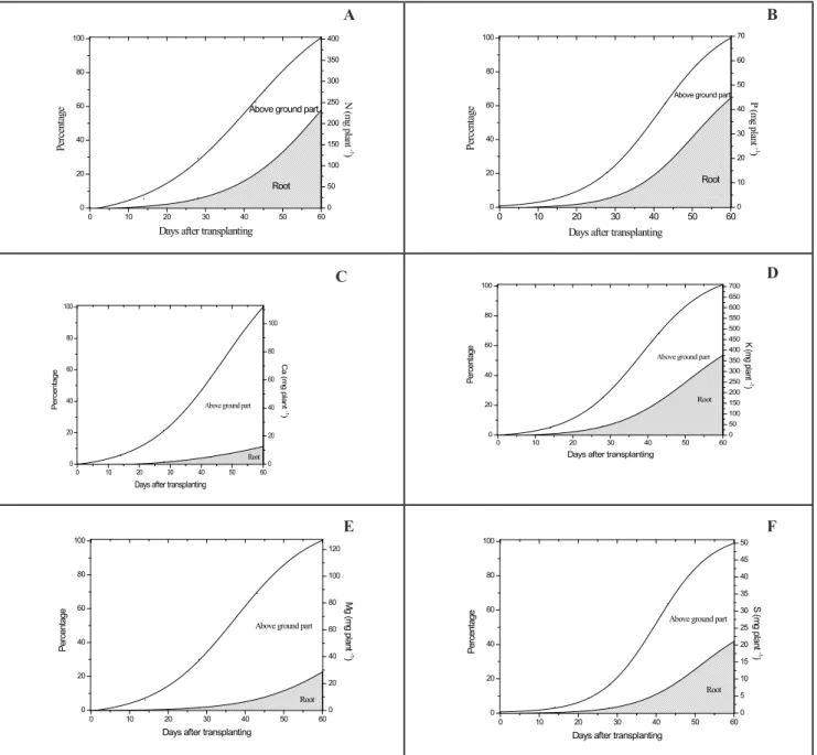 Figure 2. Amount of macronutrient (mg/plant) accumulated by shoot and root in beetroot plant throughout the crop cycle and percentage  in relation to the total accumulated at the end of cycle