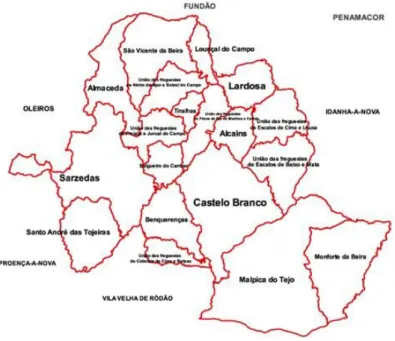 Figura 1. Concelho de Castelo Branco 