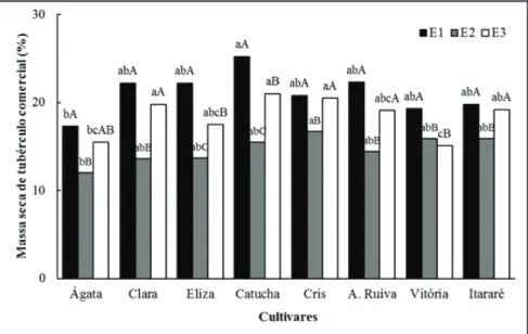 Figura 3. Porcentagem de massa seca de tubérculos de oito cultivares de batata em sistema  orgânico, em três ensaios nas safras 2013/2014 e 2014/2015, em Guarapuava–PR e Caseiros–