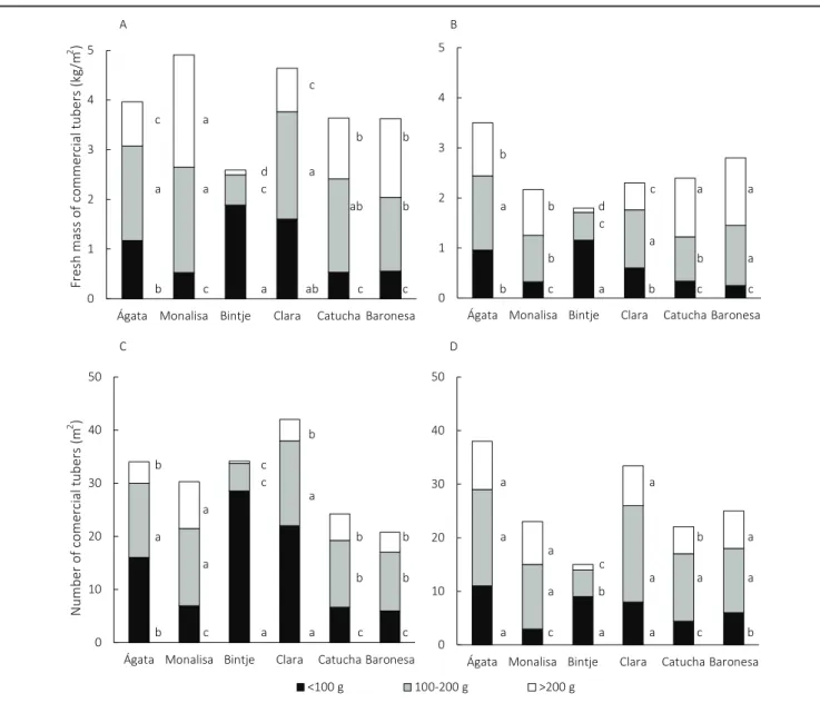 Figure 1. Fresh mass (kg/m 2 , A and B) and number (m 2 , C and D) of commercial tubers per class of size of modern and old potato cultivars