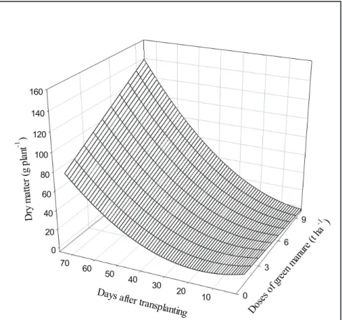 Figure 1. Effect of green manure doses (D) and days after transplanting (T) on the dry matter  (DM) of broccoli plants
