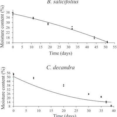 Figure  1.  Drying  curve  of  Blepharocalyx salicifolius and  Casearia decandra seeds in saline solution  saturated with potassium acetate (23.5% RH)