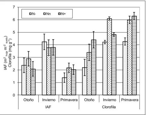 Figura 3. Indice de área foliar y contenido de clorofila en hoja de un cultivo de gerbera  para flor de corte cultivada en hidroponía en otoño, invierno y primavera, bajo 3 niveles  de fertilización nitrogenada: N-= 5,6; Nn= 9,95; N+= 13,6 mmol/L N-NO 3 - 