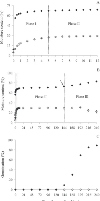 Figure  1.  A  –  moisture  content  (%)  of  papaya  seeds  with  sclerotesta (♦) and without sclerotesta (○) during the  first 12 hours of soaking; B – moisture content (%) of  seeds with sclerotesta (♦) and without sclerotesta (○)  during 240 hours of i