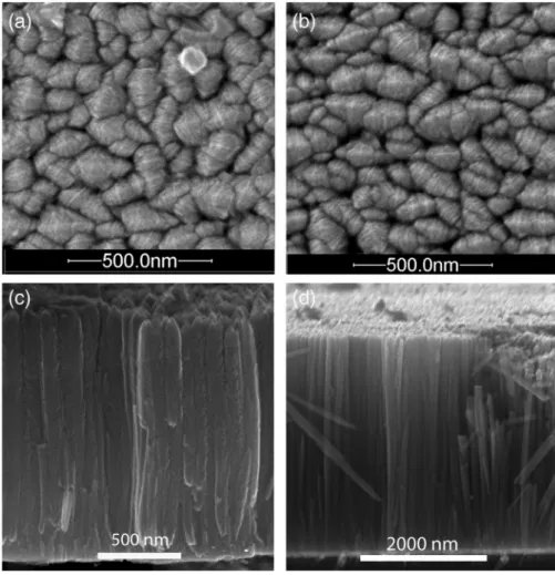 Fig. 1 shows the FE-SEM images of TiO 2 ﬁ lms with different nanorod lengths. The SEM images show vertically well-aligned densely-packed TiO 2 nanorods grown on ITO substrate