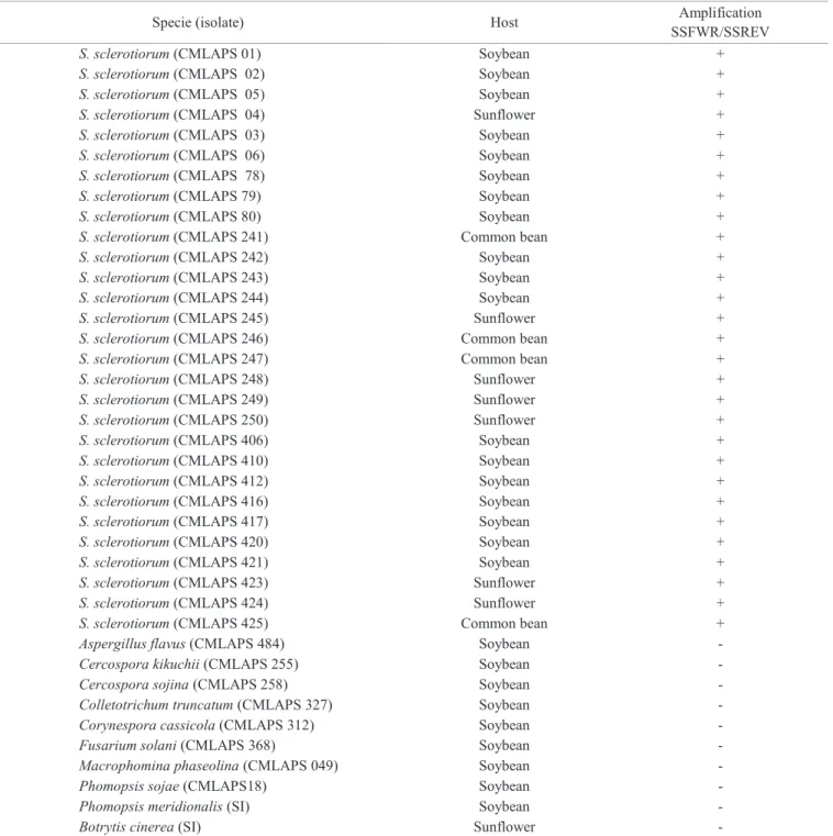 Table 1.  Specificity of primers SSFWR SSREV in pure cultures of fungi from different cultures.