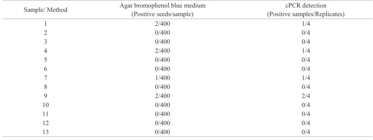 Table 3. Detection of S. sclerotiorum in thirteen samples of soybean seed assessed by agar bromophenol blue medium and cPCR.